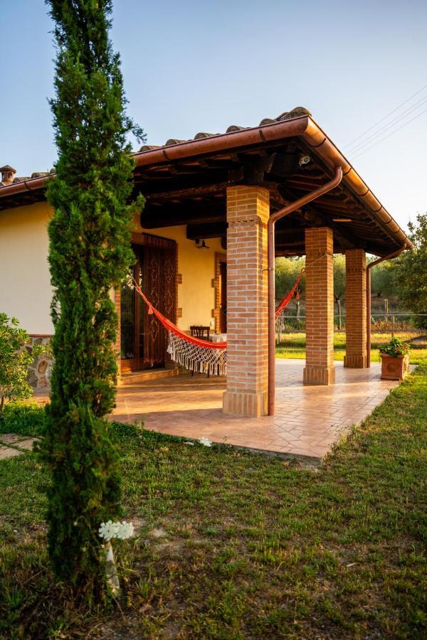 Agriturismo Anfora Della Vita Massa Marittima Exterior foto