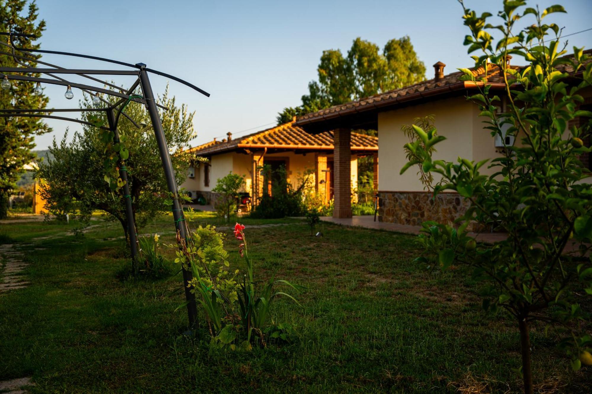 Agriturismo Anfora Della Vita Massa Marittima Exterior foto